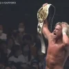 Nic Nemeth es el nuevo campeón global IWGP