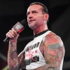 CM Punk - Shawn Michaels